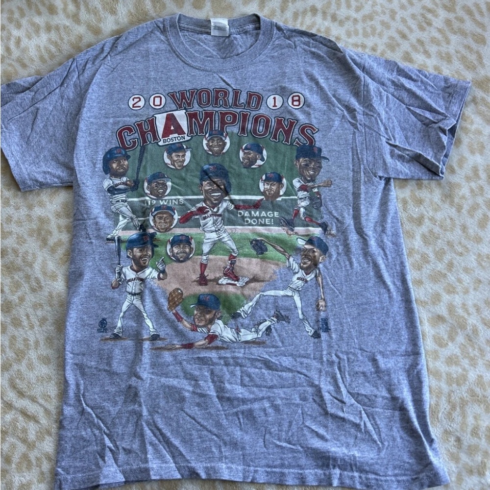 Gray World Champions Boston Red Sox Graphic T-Shirt